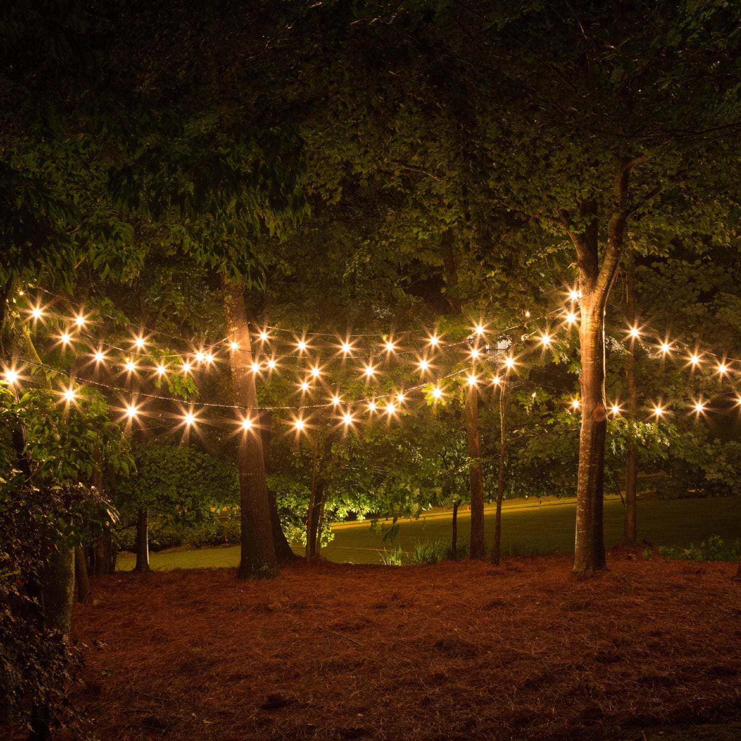 Stainless Steel Hanging/Suspension Kit for String Lights