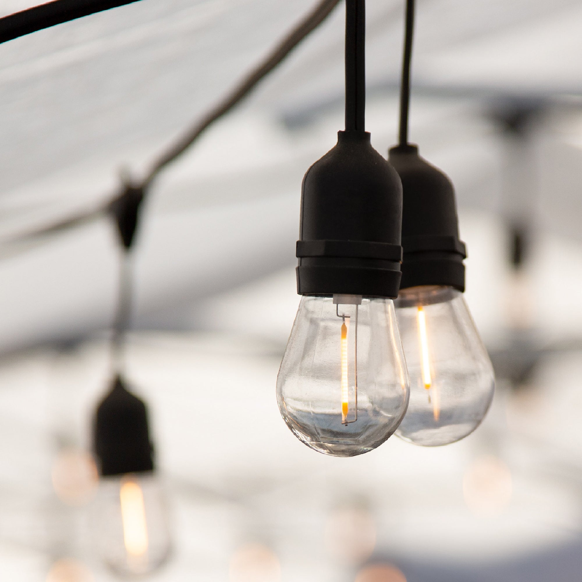 String Lights – Newhouse Lighting